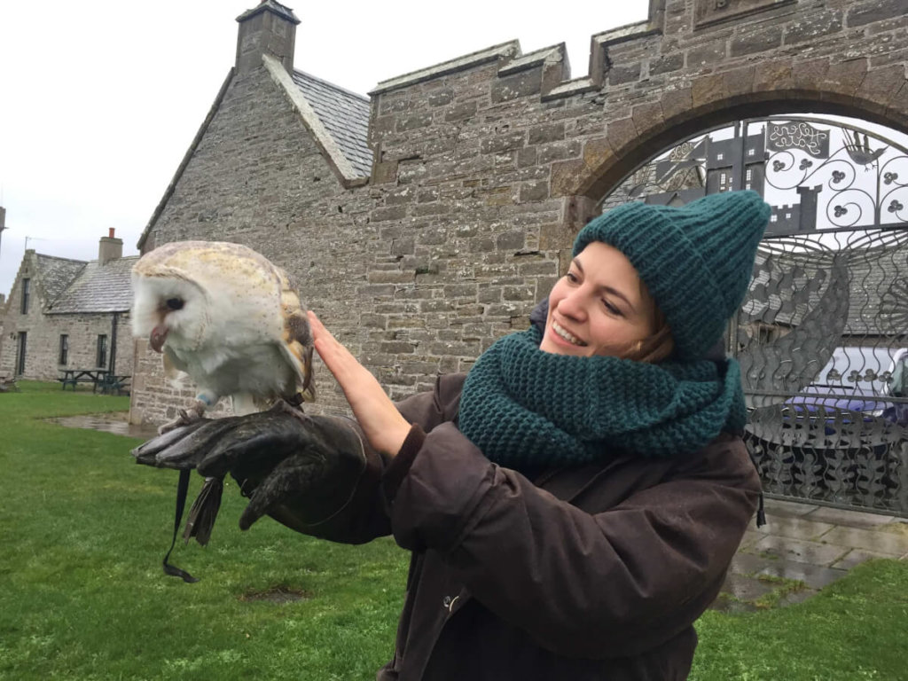 falconry event ackergill tower