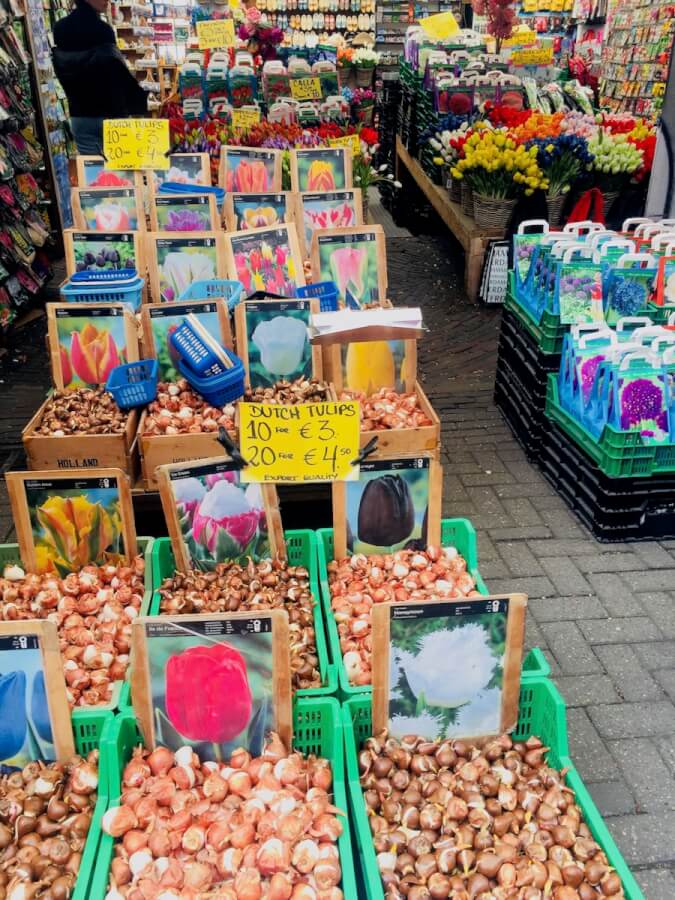 цветочный рынок амстсердам